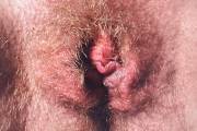 Babe Picture 4891318