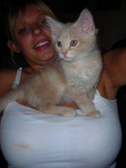 Babe Picture 1382159