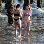 Babe Picture 2540453