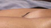 Babe Picture 4803257