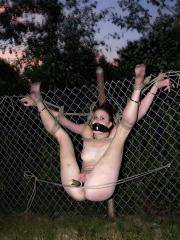 Babe Picture 4918610