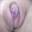 Prev