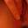 Prev