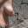 Prev