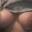 Prev