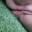 Prev