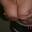 Prev