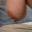 Prev