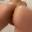 Prev