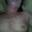 Prev