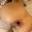 Prev