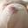 Prev