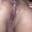 Prev