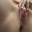 Prev