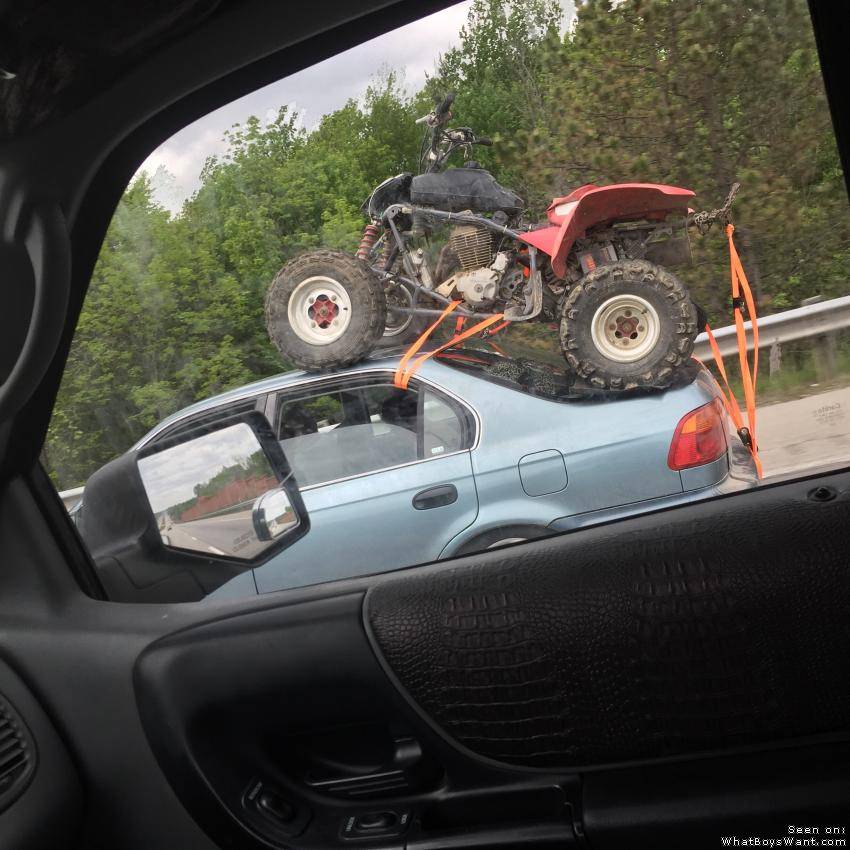 WTF? Quads and such...
