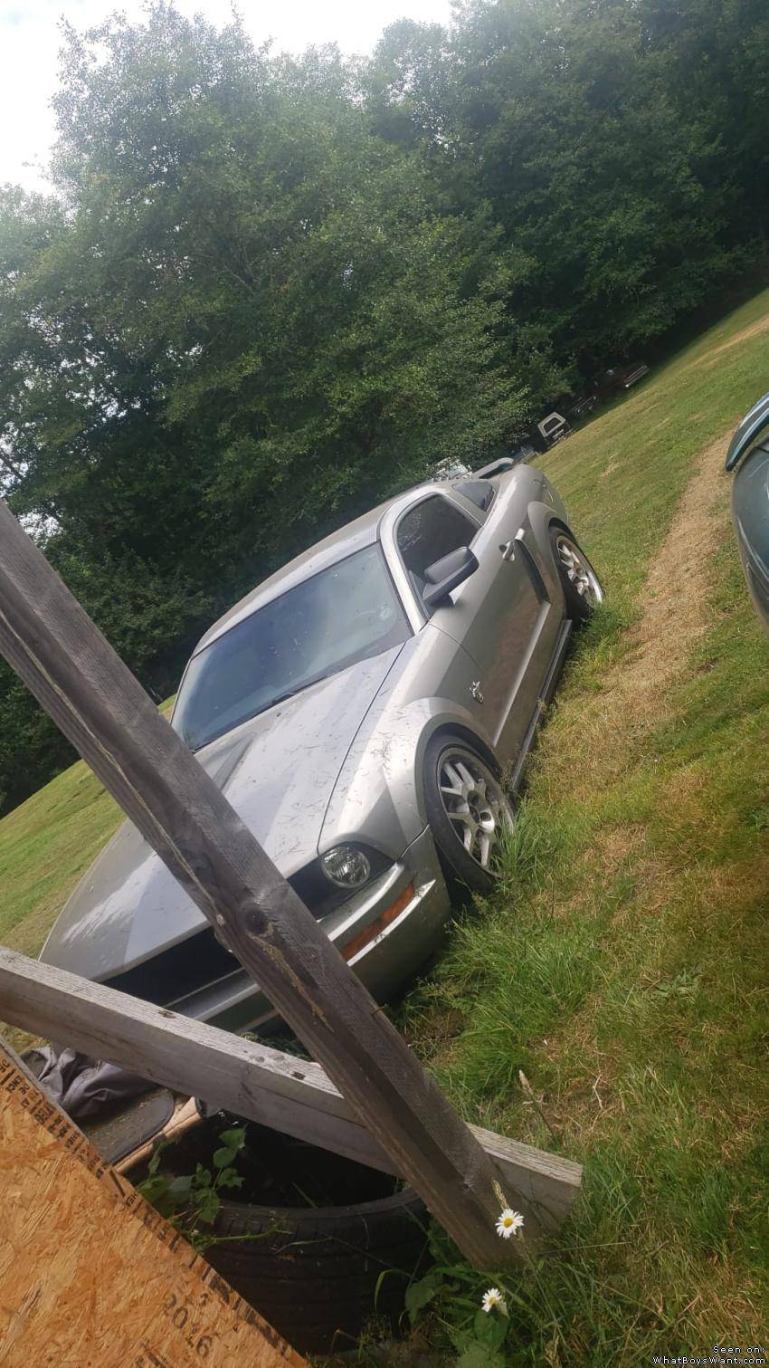 Ford Mustang
