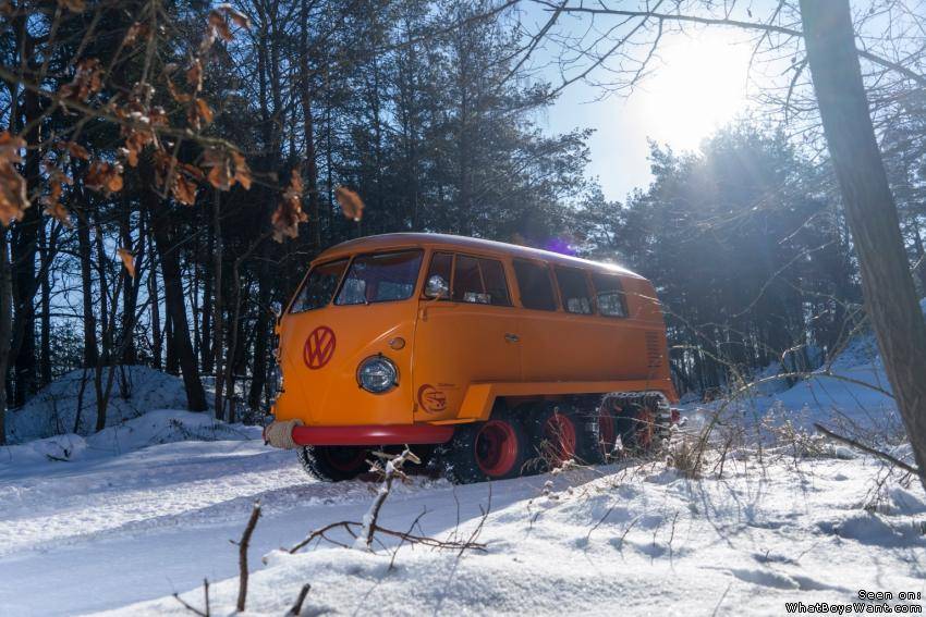 WTF? Snowmobile