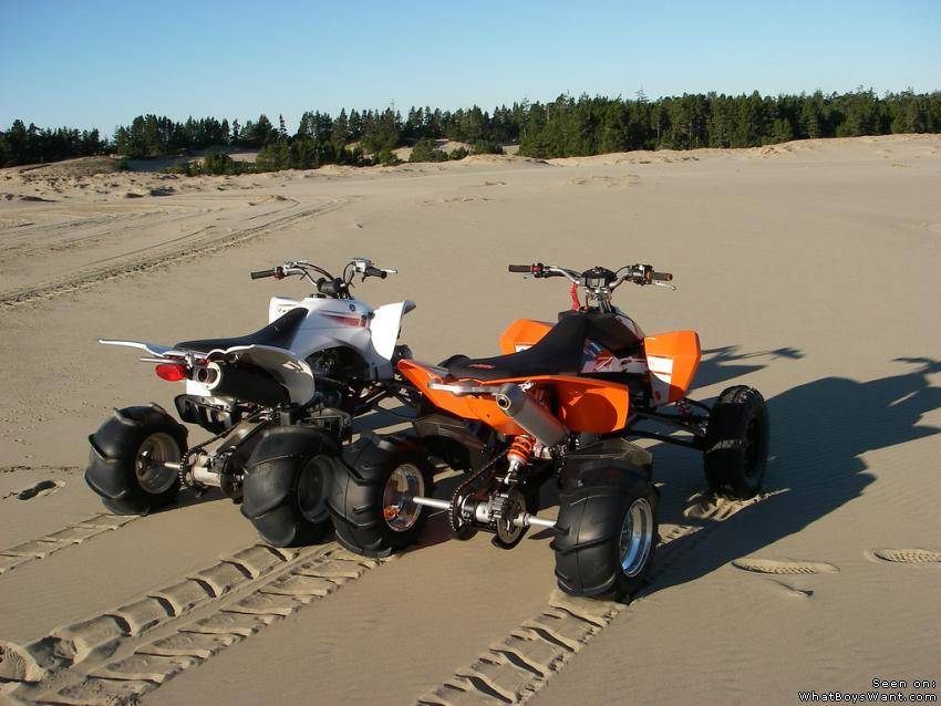 WTF? Quads and such...