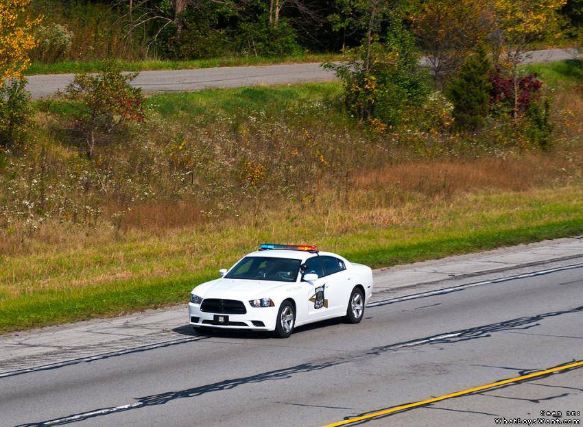 Official  Vehicles Police