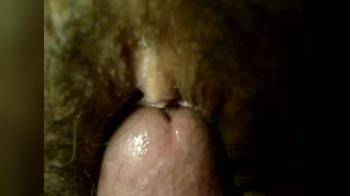 video of closeup PUSSY