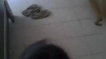 video of pattaya girl sucking of Dutch Guy Tony 