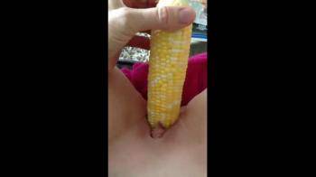 video of Using Corn to Fuck her pussy