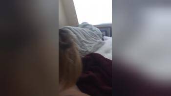 video of Sexy BJ by short haired wife