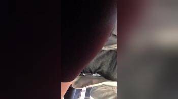 video of Bating on a bus