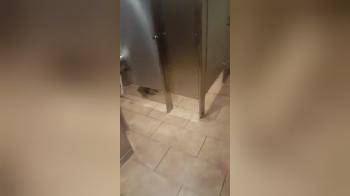video of Young Lesb toilet fun