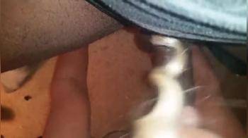 video of Sucking black dick dry