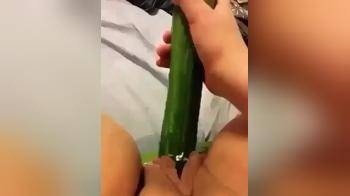 video of Pissing on a cucumber.