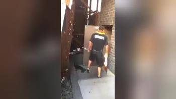 video of Couple caught fucking behind club back door