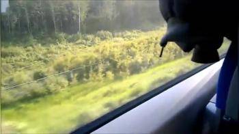 video of Pretty GF goes down on train in public