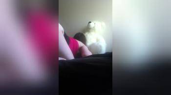 video of Sex With Her Teddy Bear