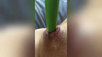 video of Masturbating with green toy