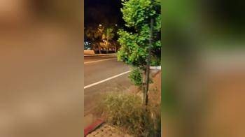 video of Doggy fucking in the night on public street