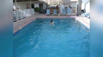 video of Naked swim in Motel swimming pool 