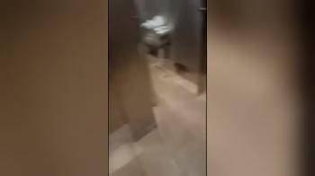 video of Lesbians in Public Bathroom