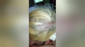 video of Cute blonde girl gives blowjob and gets facial 