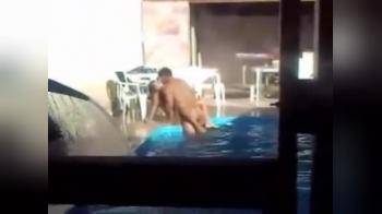 video of Caught couple having sex in & by pool