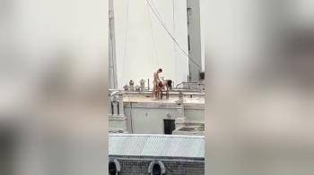 video of Public Doggy on Rooftop