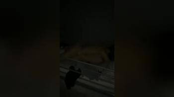 video of Spycam   Caught best Friend and Girlfriend Fucking out Loud   Hidden Camera