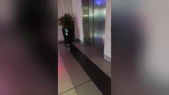 video of Girls are Striping in Elevator
