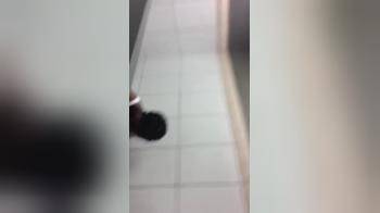video of Quickie in the Bathroom