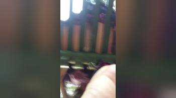 video of mugsy on park bench flashing pussy from below