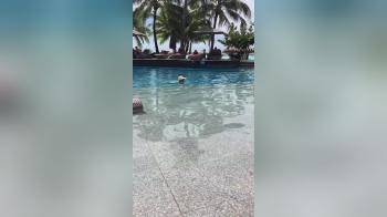 video of Is it wrong that I like parading around the pool… A