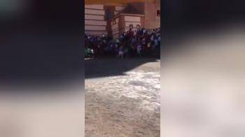 video of Amazing upskirt of girl running from bulls