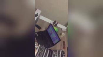 video of Doggy fucking all over the desk in the office