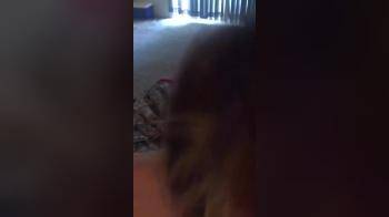 video of doggy fucking my GF ending on her pretty face
