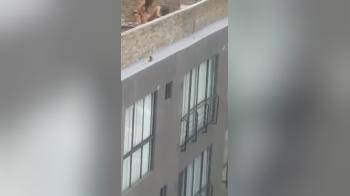 video of Lesbian voyeur strap on, spying from accross